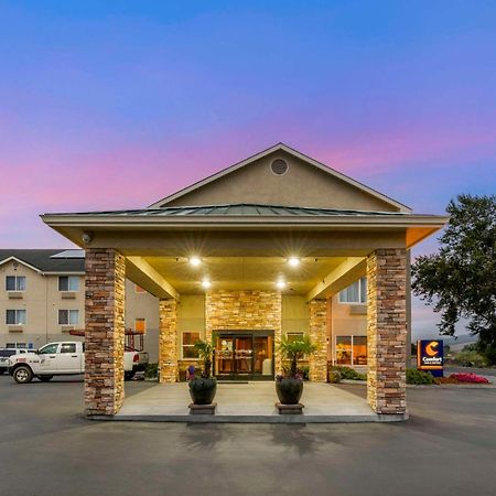 Comfort Inn & Suites Redwood Country Fortuna Exterior photo